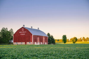 red barn on a field of green grass with some trees on the horizon line with a soft sunset backgrougnd
