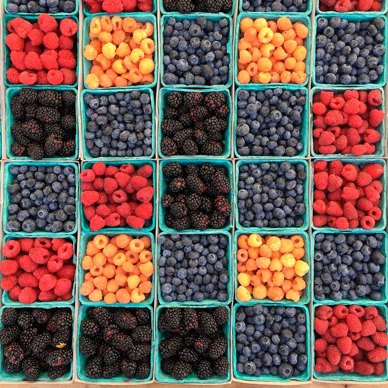 Overhead view of a colorful grid of fresh berries in teal cardboard containers, including raspberries, golden raspberries, blueberries, and blackberries arranged in an alternating pattern.