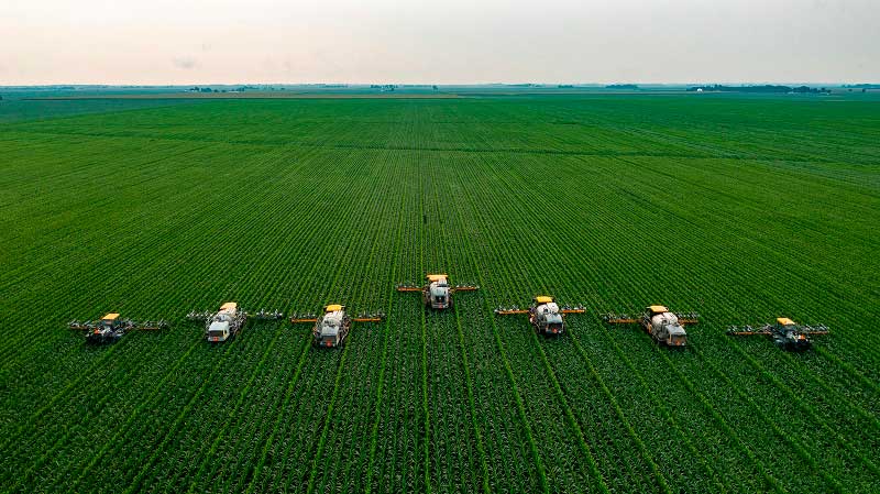 Aerial view of seven agricultural sprayers arranged in a diagonal line across a vast green cornfield, spraying crops in unison.